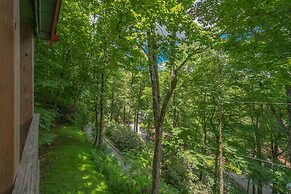 Swiss Mountain Village