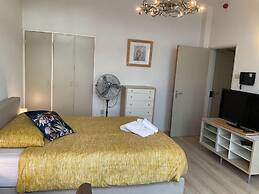 Plato by Hofstad Studios