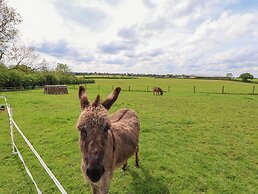 Holmside