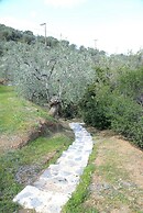 Goddesses Villa 2 in Nies