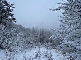 Valley Overlook