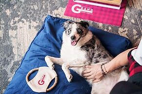 Grand Hyatt Deer Valley