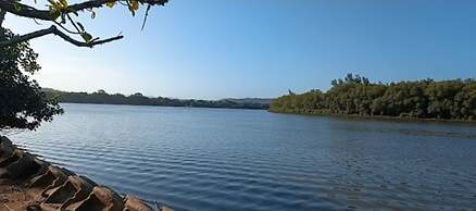 The Tropical Hut Lodges