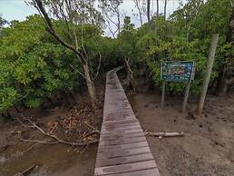 The Tropical Hut Lodges