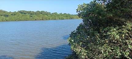 The Tropical Hut Lodges