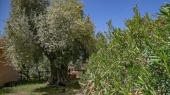 Country House Muristene - Asfodelo