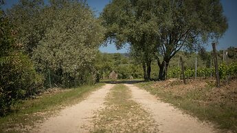 Country House Muristene - Asfodelo