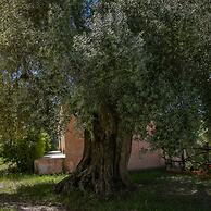 Country House Muristene - Asfodelo