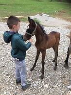 Rafting Camp Encijan