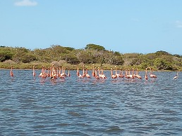 Flamencamarones Hotel Familiar