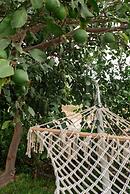 Masal Evimiz Antalya