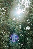 Masal Evimiz Antalya