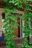 Masal Evimiz Antalya