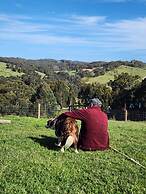 Valley Views BNB