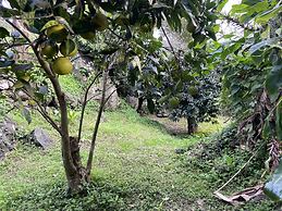 Franco da Serra Country House