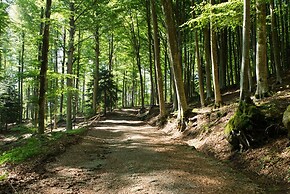 Hotel Parco dei Faggi - Monte Amiata