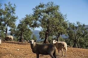 Hábitat Cigueña Negra