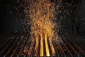 Hábitat Cigueña Negra