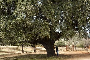 Hábitat Cigueña Negra