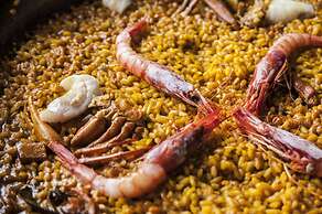 Hábitat Cigueña Negra