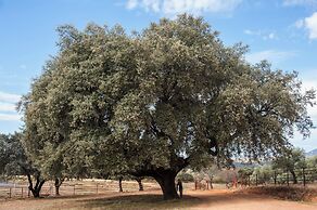Hábitat Cigueña Negra
