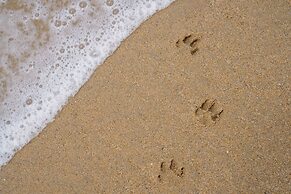 Costanoa Lodge and Camp