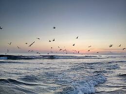 Fonte da Telha Beach Hostel