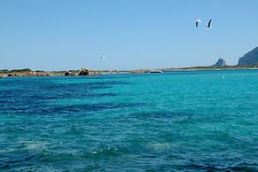 Il Borgo 13/2 700mt From The Beach