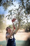 eumelia organic agrotourism farm