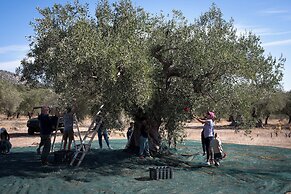 eumelia organic agrotourism farm