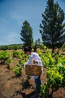 eumelia organic agrotourism farm