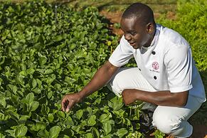 La Rochelle Country House and Spa