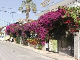 Harrys bar & apartments