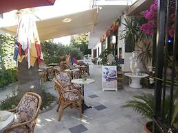 Harrys bar & apartments