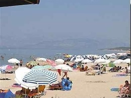 Harrys bar & apartments