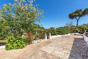 3646 Casal 800 by Perle di Puglia