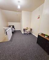 Spacious,luxury, Near City Center, Free Parking