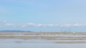 Marina Eco Hotel Praia da Fazenda