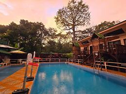 Cool Waters Jungle Villas