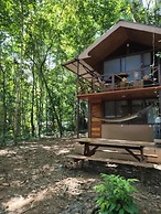 Cool Waters Jungle Villas