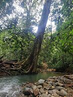 Cool Waters Jungle Villas