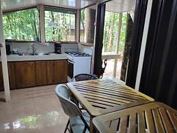 Cool Waters Jungle Villas