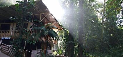 Cool Waters Jungle Villas