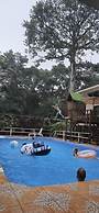 Cool Waters Jungle Villas