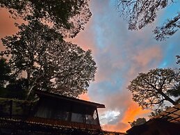 Cool Waters Jungle Villas