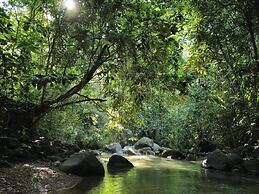 Cool Waters Jungle Villas