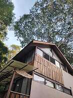 Cool Waters Jungle Villas