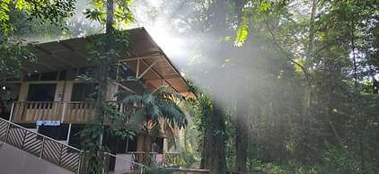 Cool Waters Jungle Villas