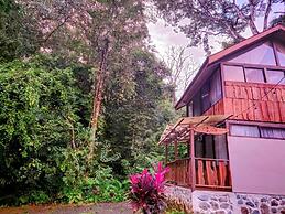 Cool Waters Jungle Villas