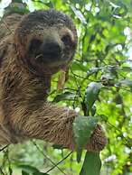 Cool Waters Jungle Villas